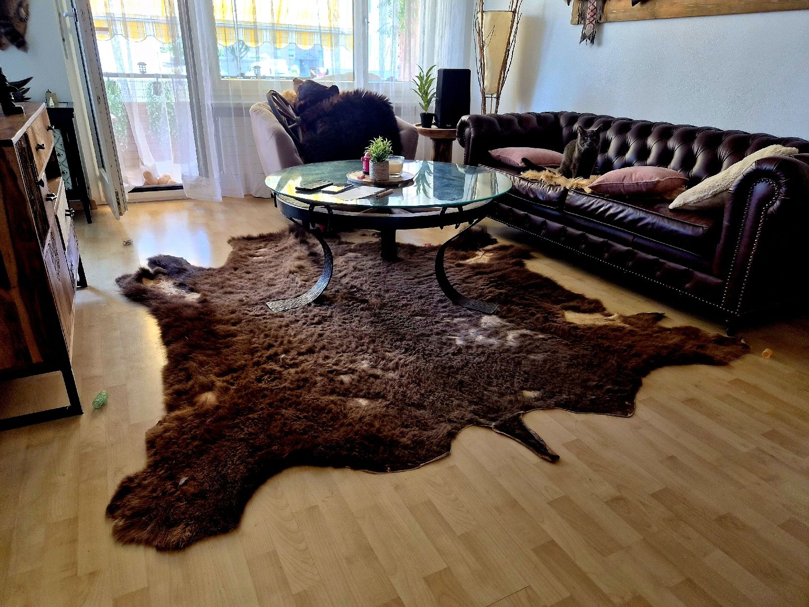 Tappeti: Echtes kanadisches Bisonfell – Usato da Dietikon venduto da Wutho