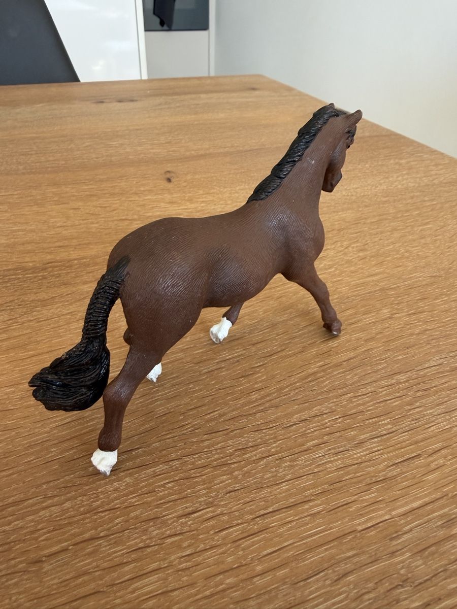 Spielzeuge: Schleich Trakehner Wallach – Gebraucht aus Uznach von Player6 1