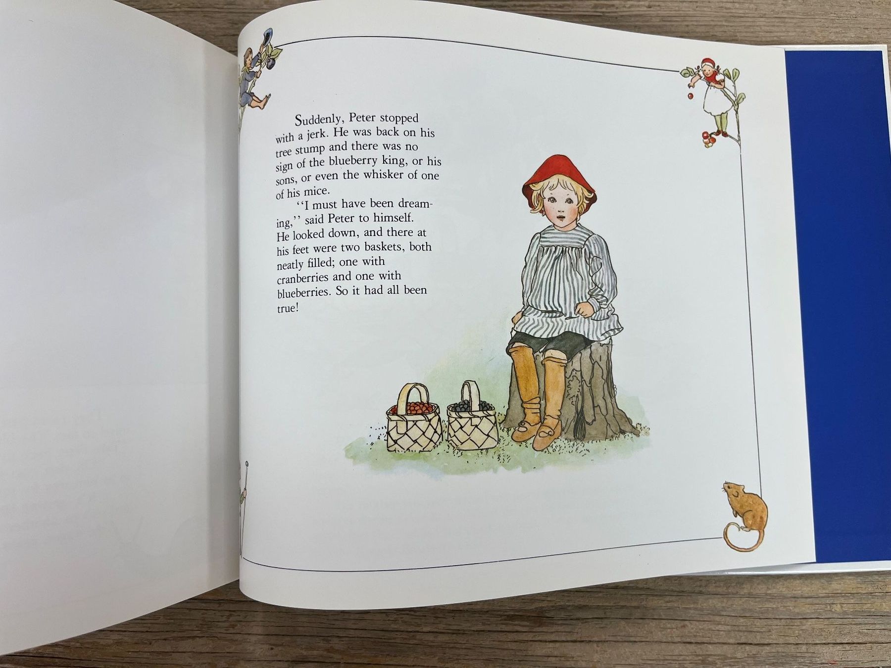 Libri: Elsa Beskov: Peter in Blueberry Land – Usato da Pfäffikon ZH venduto da buresi 9