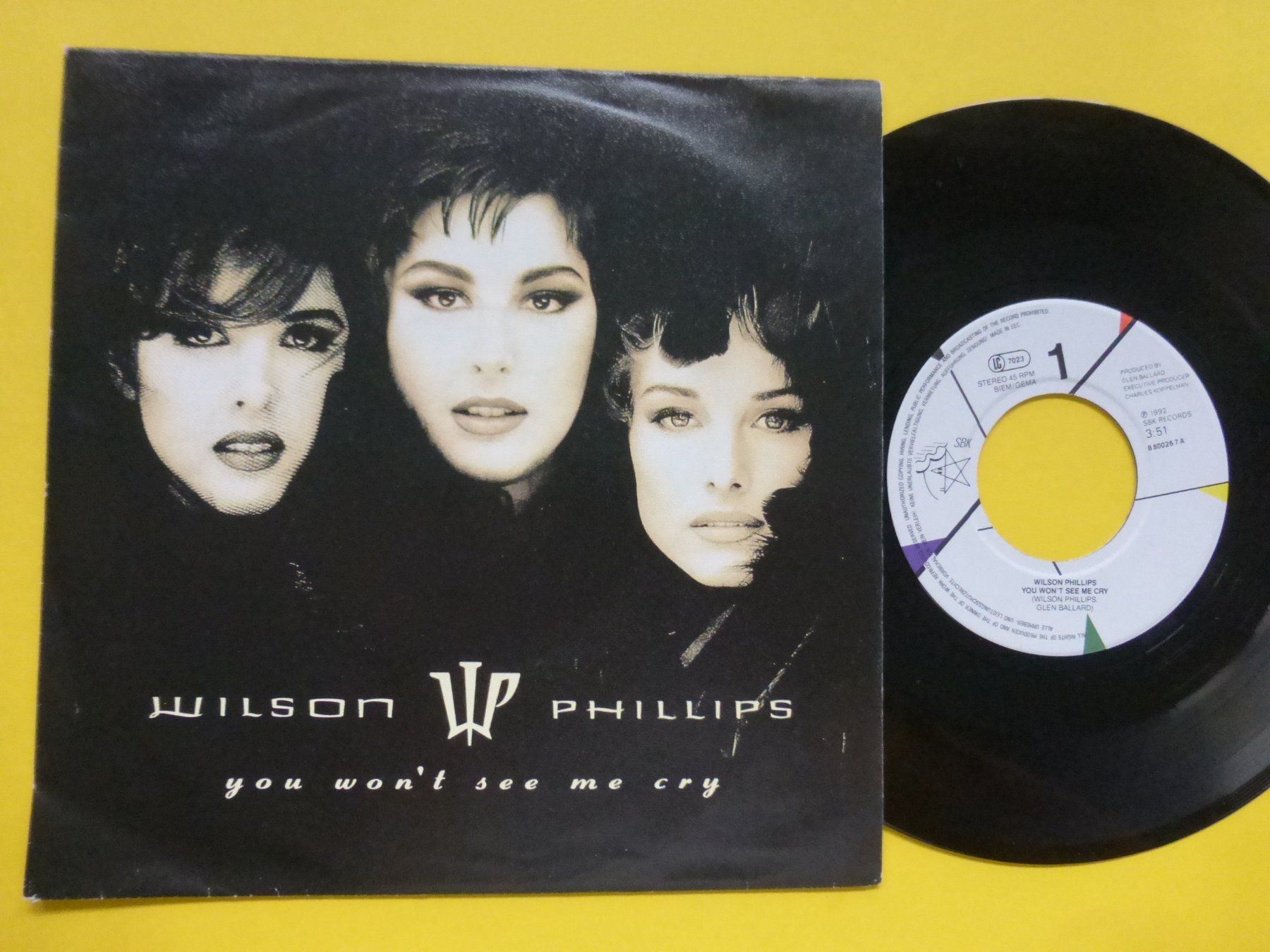 Dischi in vinile: Wilson Phillips – You Won't See Me Cry – Usato da Zürich venduto da Swiss57