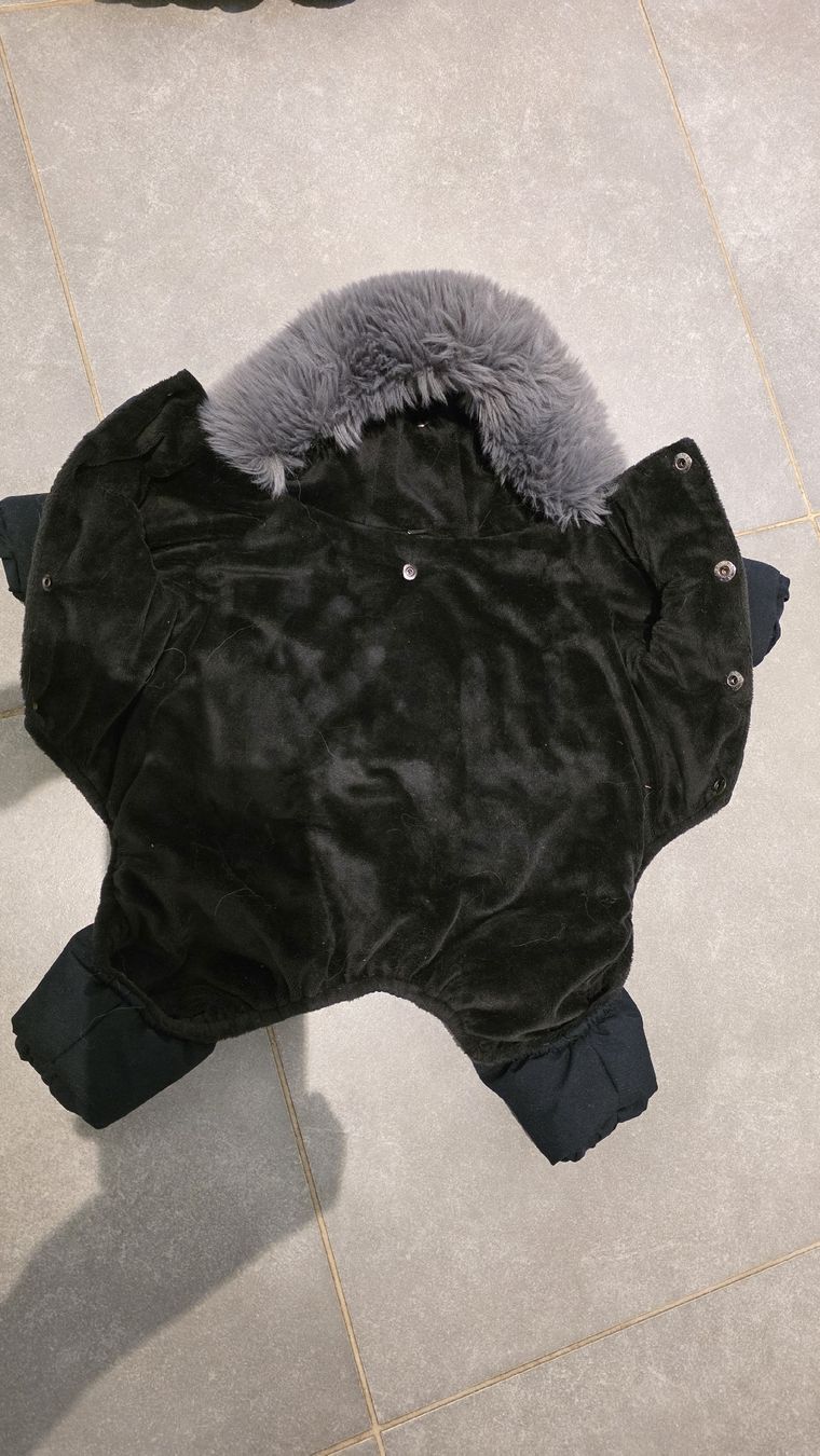 Abbigliamento: vêtements pour chien  – Usato da Fontainemelon venduto da ale_b865 2