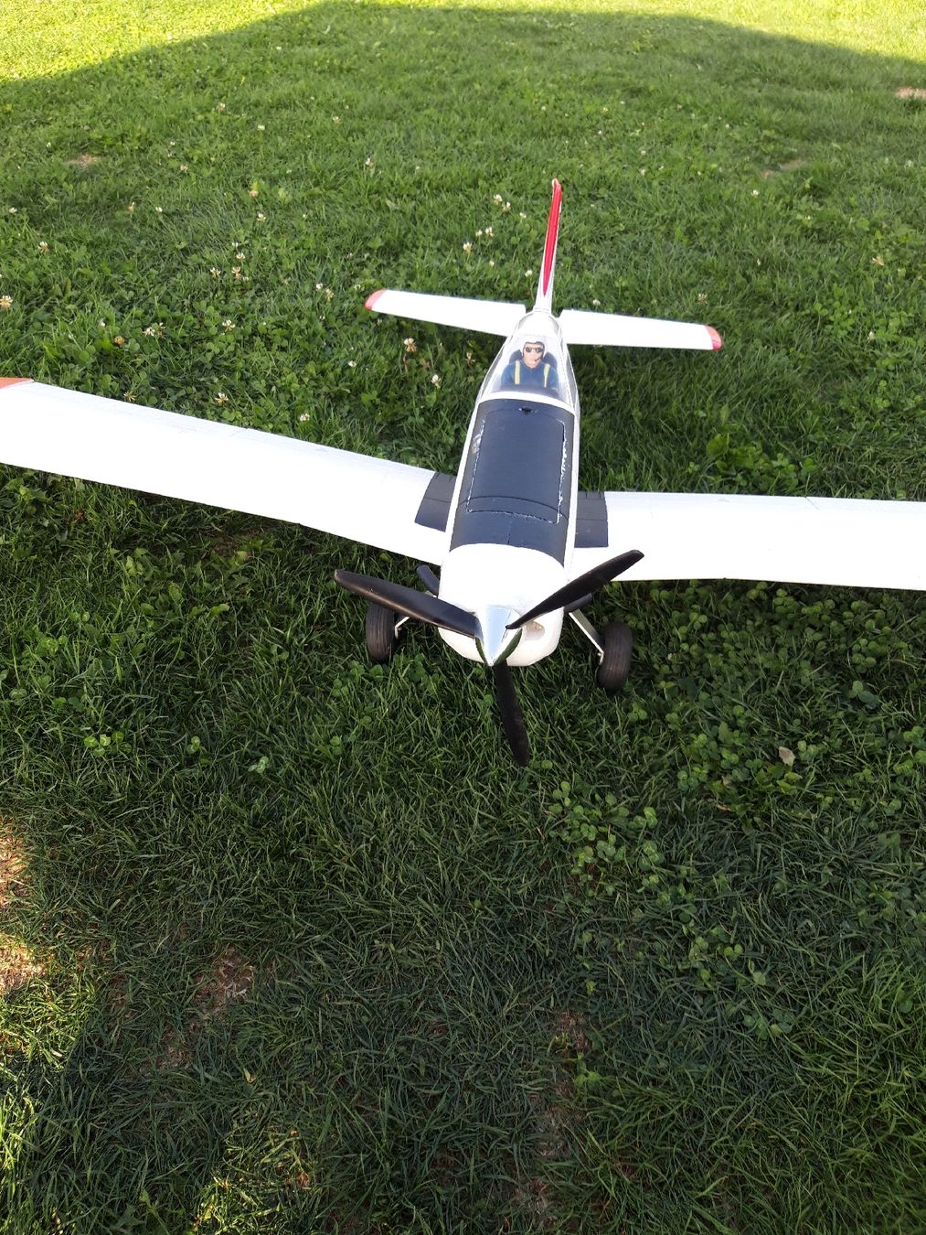 E-Flite Modellismo RC: piper pawnee E-flite – Usato da Wolhusen venduto da Pasradiesvogel 1