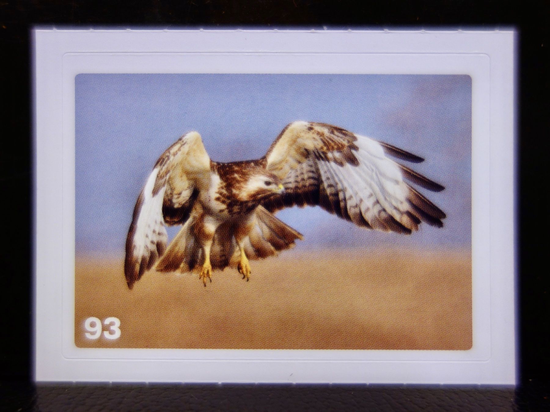 Migros Sammelbilder & Trading cards: MIGROS MANIA Nature Detectives Nr. 93 – Gebraucht aus Kerzers von djstarsky73