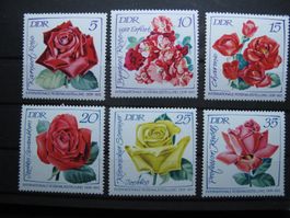 DDR 1972 Rosenausstellung Erfurt I **