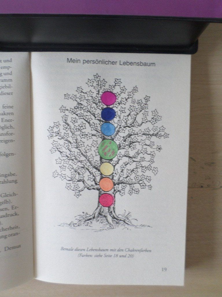 Bücher: Das Licht der Engel / Ferry Lackner – Neu (gemäss Beschreibung) aus Liestal von man_7bt6 3