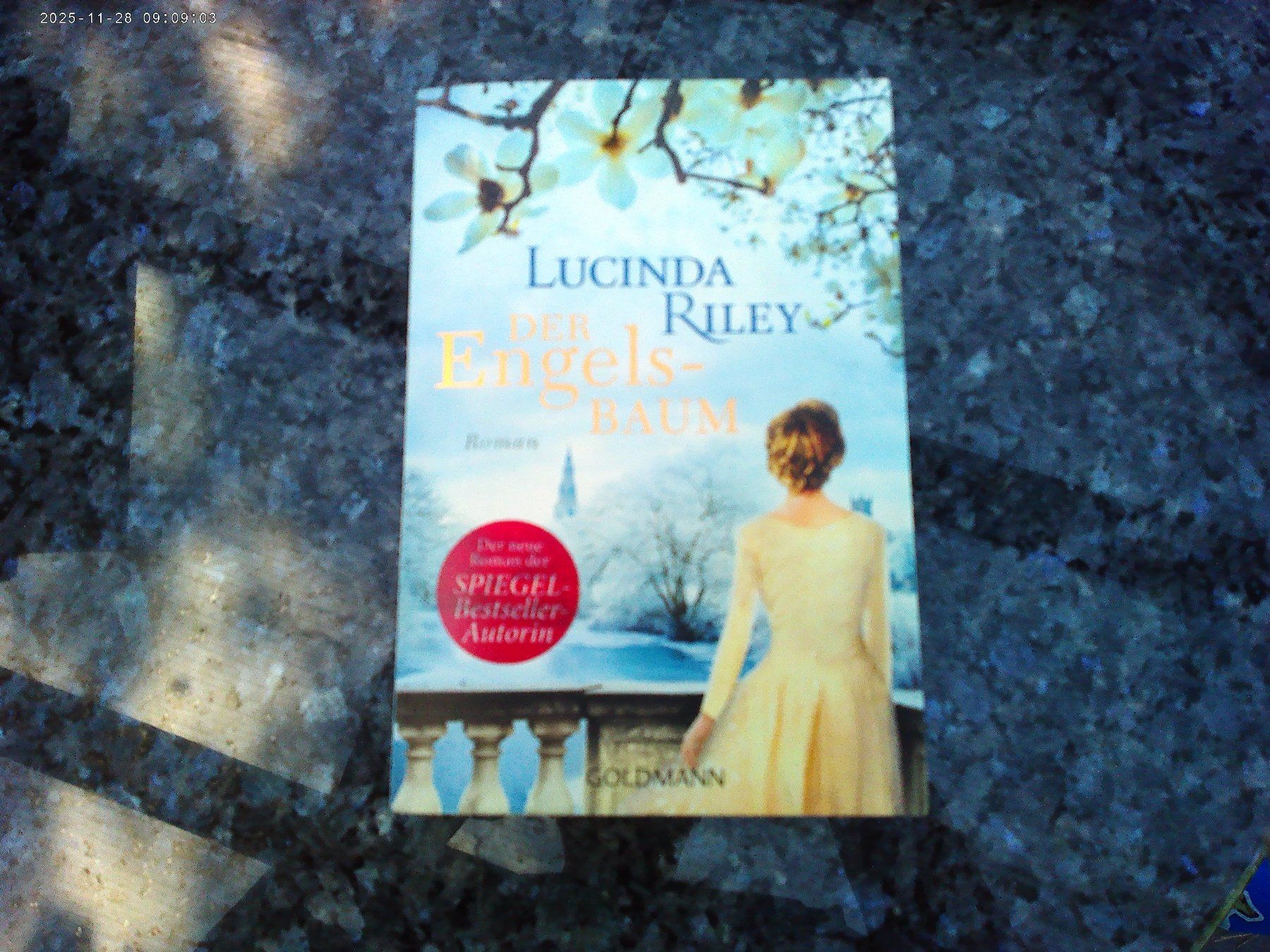 Bücher: Der Engelsbaum von Lucinda Riley – Gebraucht aus reitnau von Sib7