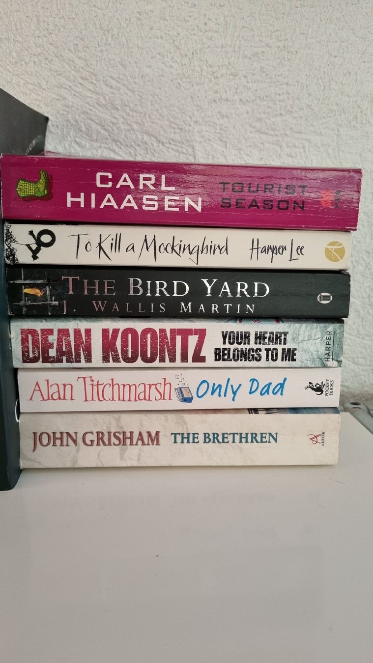 Libri: 24 English books – Usato da Tägertschi venduto da Fank111 2