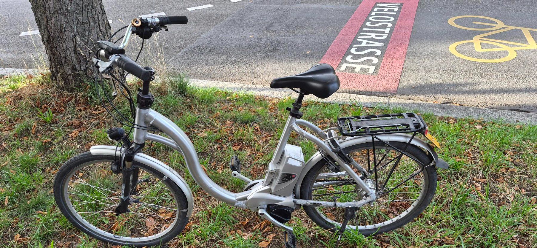 Flyer Vélos: Flyer HS 45km/h / E-Bike – D'occasion à Bern par Padua