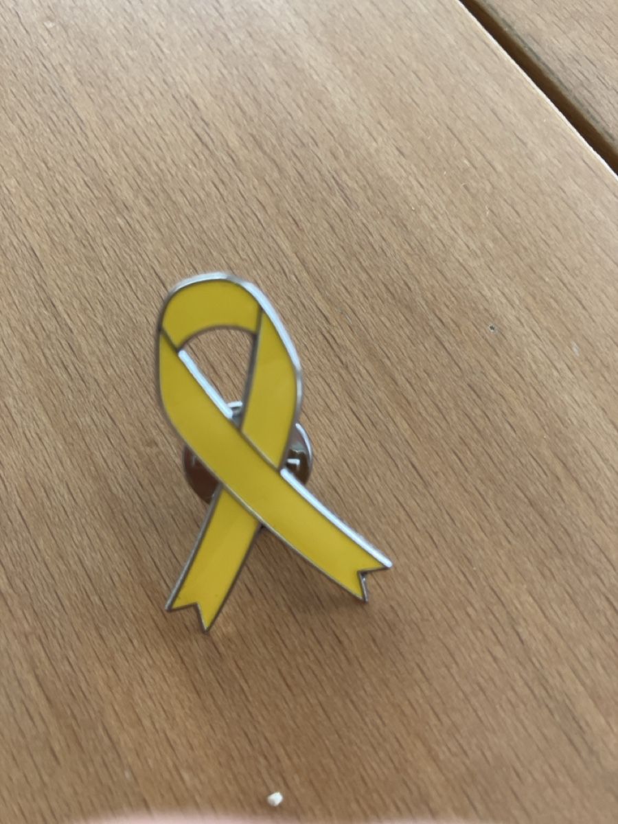Plaketten & Abzeichen: Broche ruban jaune  – Gebraucht aus Bex von man_6gxz