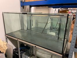 Aquarium marin de 500 litres avec décante et meuble.
