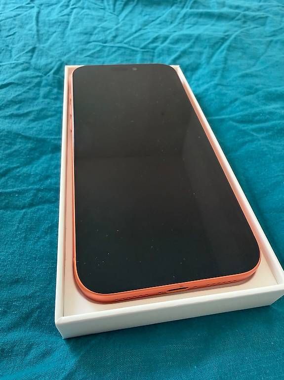 Telefoni cellulari / Smartphones: IPHONE 17 Pro Max 256 Go – Usato da Lausanne venduto da Rickydiricard 2