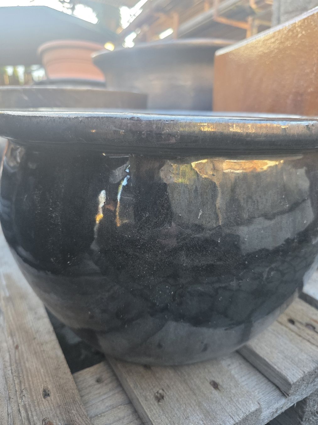 Pots de fleurs: Blumentopf – D'occasion à Chur par beni048