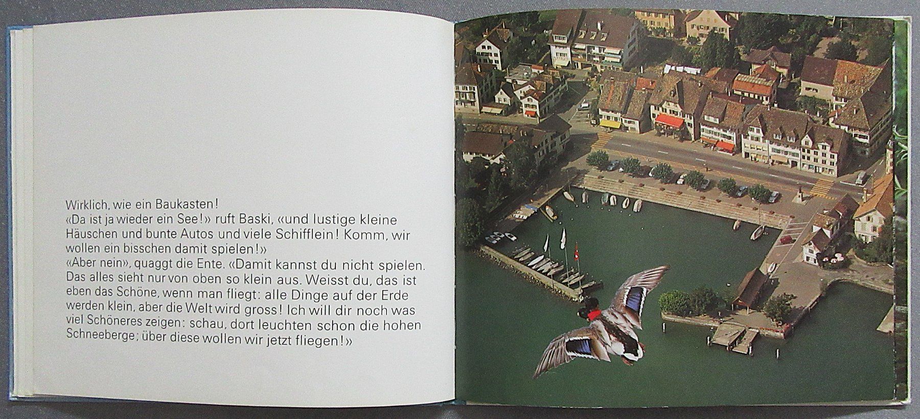 Libri: Baski - Baski's Flug mit der Wildente – Usato da Auenstein venduto da Padabimbim 6