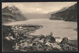 Weesen, Teilansicht mit See aus der Voge