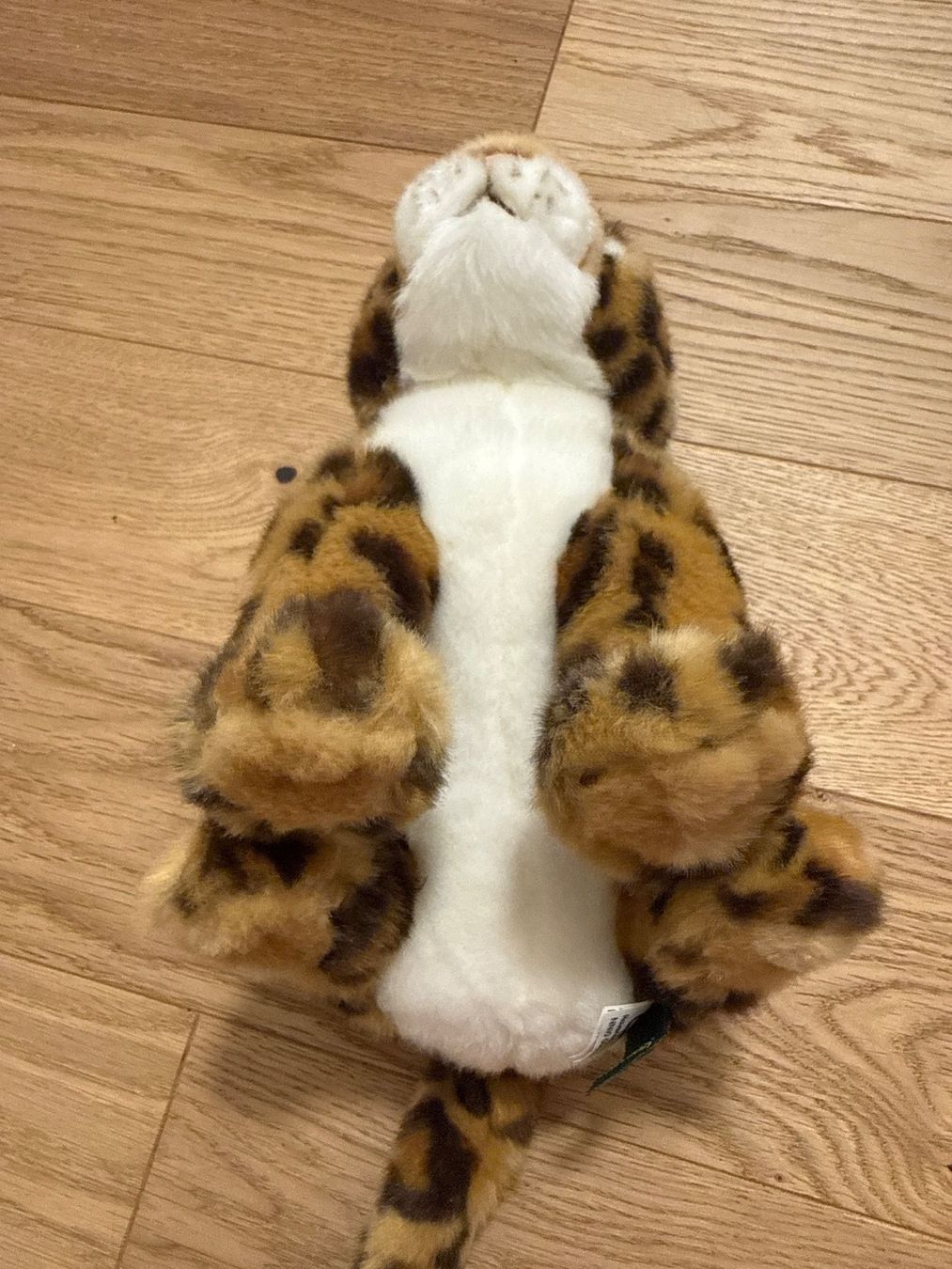 Giocattoli: NEU! Plüschtier Leopard – Nuovo (secondo la descrizione) da Schönenwerd venduto da d.chiara 4