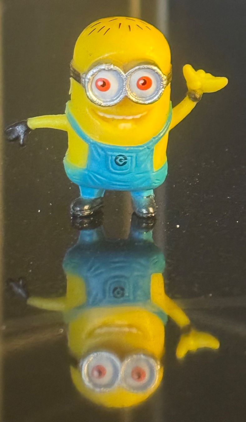 Statuette: 12 VERSCHIEDENE MINIONS MIT VITRINE, NEU!!! – Nuovo e nell'imballaggio originale da Hendschiken venduto da CATUS