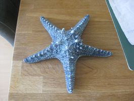 Schöner SEESTERN mit Glitzer Martime