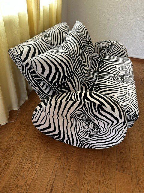Bretz Sofas: Bretz Bettsofa Zebra – D'occasion à Wangen SZ par maiebluemli 1