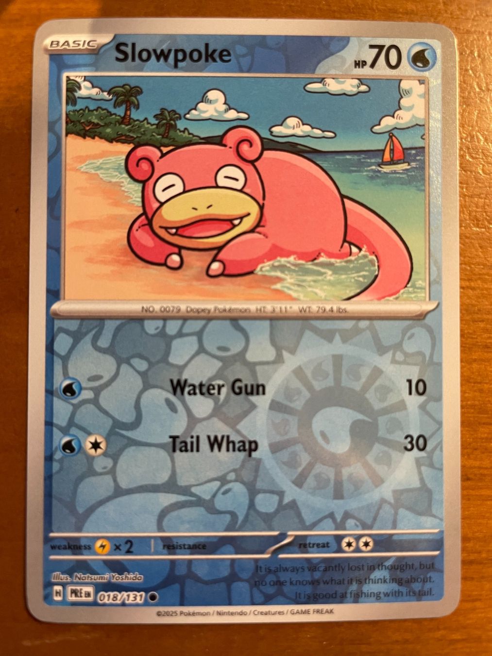 Pokémon Carte collezionabili: Pokemon Slowpoke Reverse (Versand gratis) – Nuovo (secondo la descrizione) da Chur venduto da Angerson