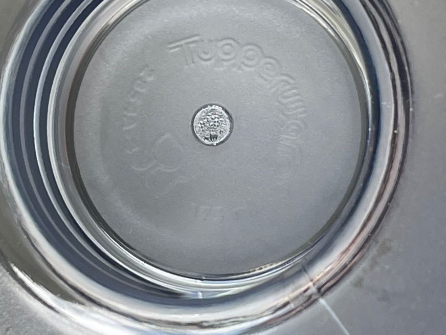 Tupperware Contenitori & Simili: Tupperware Dessert Geschirr (2854) – Usato da Ennetbürgen venduto da sto_2rrg 3