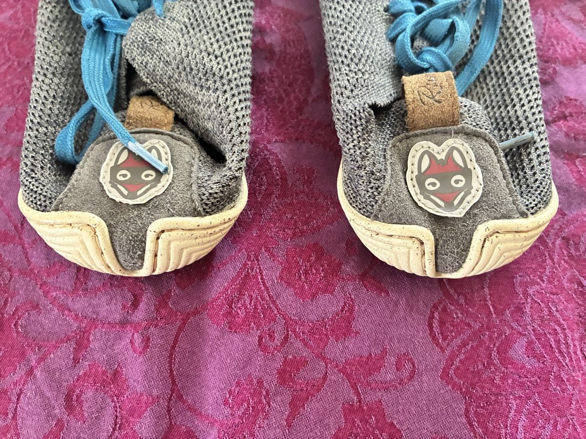 Wildling Schuhe für Jungen: Nebula Wildlinge 32 – Gebraucht aus Lausanne von Sarawg 1