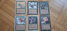 Magic The Gathering – Grünes Kartenlot – 6 deutsche Karten 