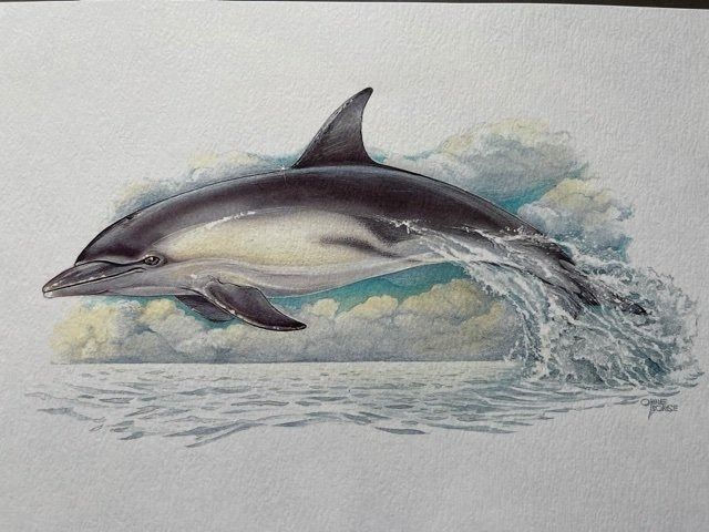 Poster & Bilder: DELPHIN - KUNSTDRUCK – Neu (gemäss Beschreibung) aus Honau von sainj