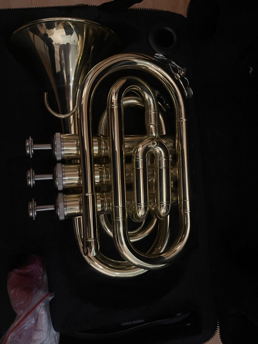 Strumenti musicali: Taschentrompete in B-Dur Neu! – Nuovo (secondo la descrizione) da Uetliburg SG venduto da M_777 2