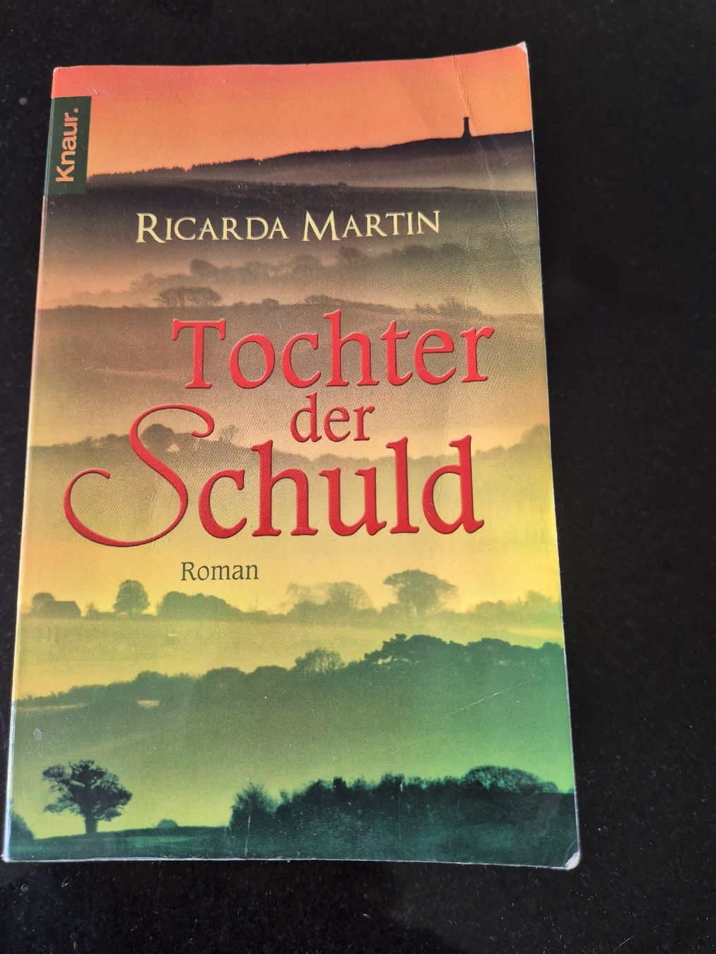 Livres: Ricarda Martin: Tochter der Schuld – D'occasion à Seedorf UR par Carmena3