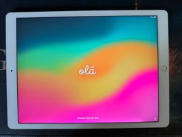 Apple iPad Pro A1670 silber gebrauchter Zustand