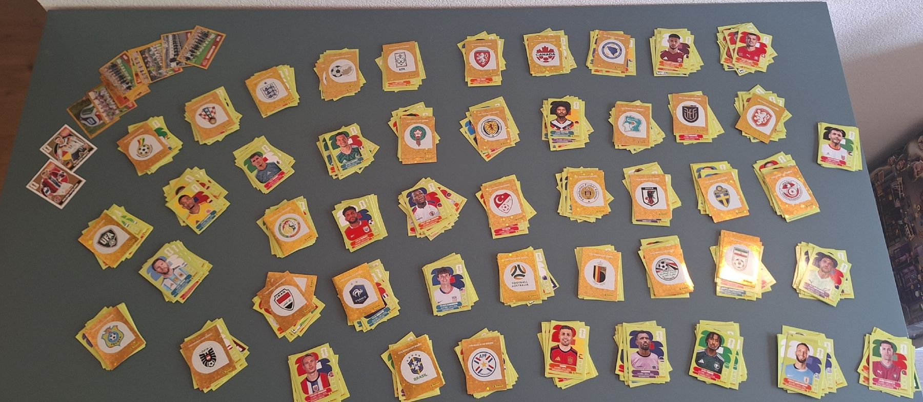 Panini Carte collezionabili: PANINI Worl cup 2026 + 800 cartes – Usato da Luc (Ayent) venduto da biiinchoou 6