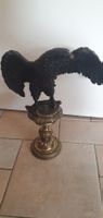 Bronzeadler gross und schwer