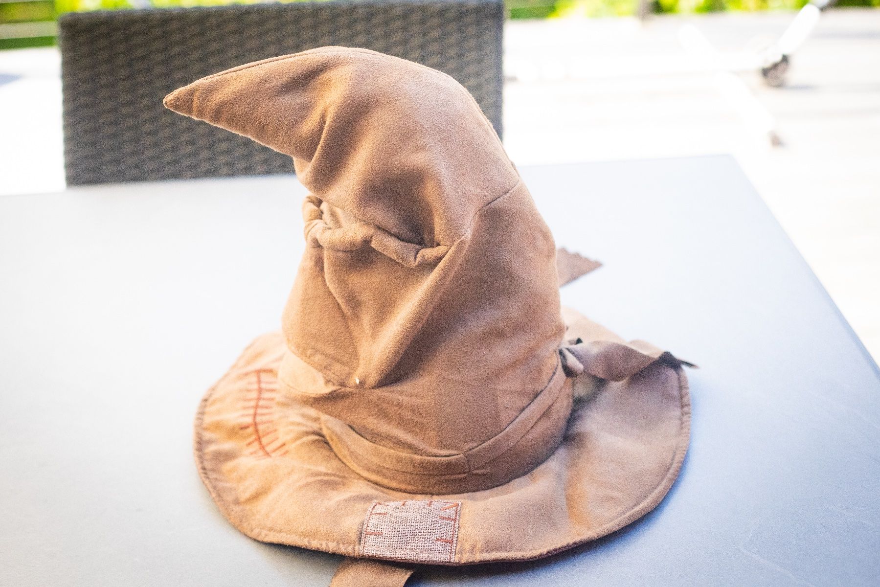 Giocattoli: Spin Master Harry Potter sprechender Hut – Usato da Unterseen venduto da jos_w9q6 1