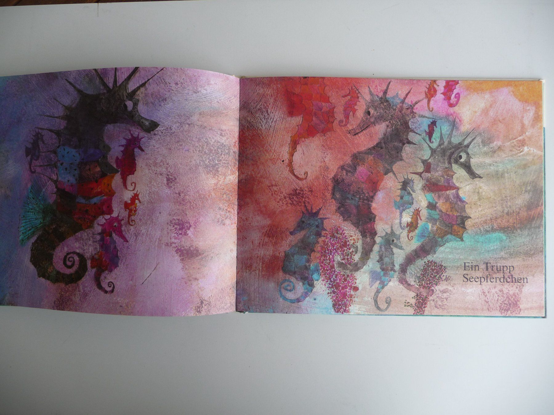 Libri: BRIAN WILDSMITH - FISCHE, ANTIKES KINDERBUCH – Usato da Aesch BL venduto da Imoonlight 3