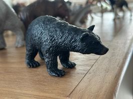 Schleich Schwarzbär Sammelfigur