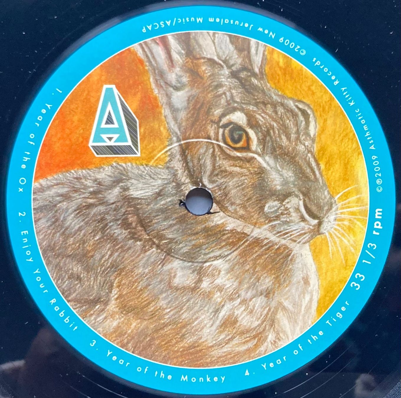 Vinyles: OSSO - RUN RABBIT RUN – D'occasion à Poliez-Pittet par Newtown-Records 3