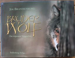 Bruder Wolf - Das vergessene Versprechen - Jim Brandenburger