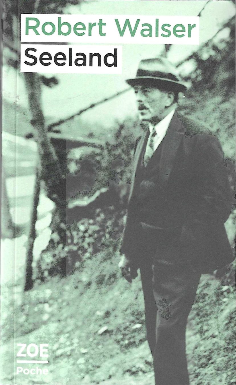 Libri: Robert Walser - Seeland – Usato da Savagnier venduto da Ne2065