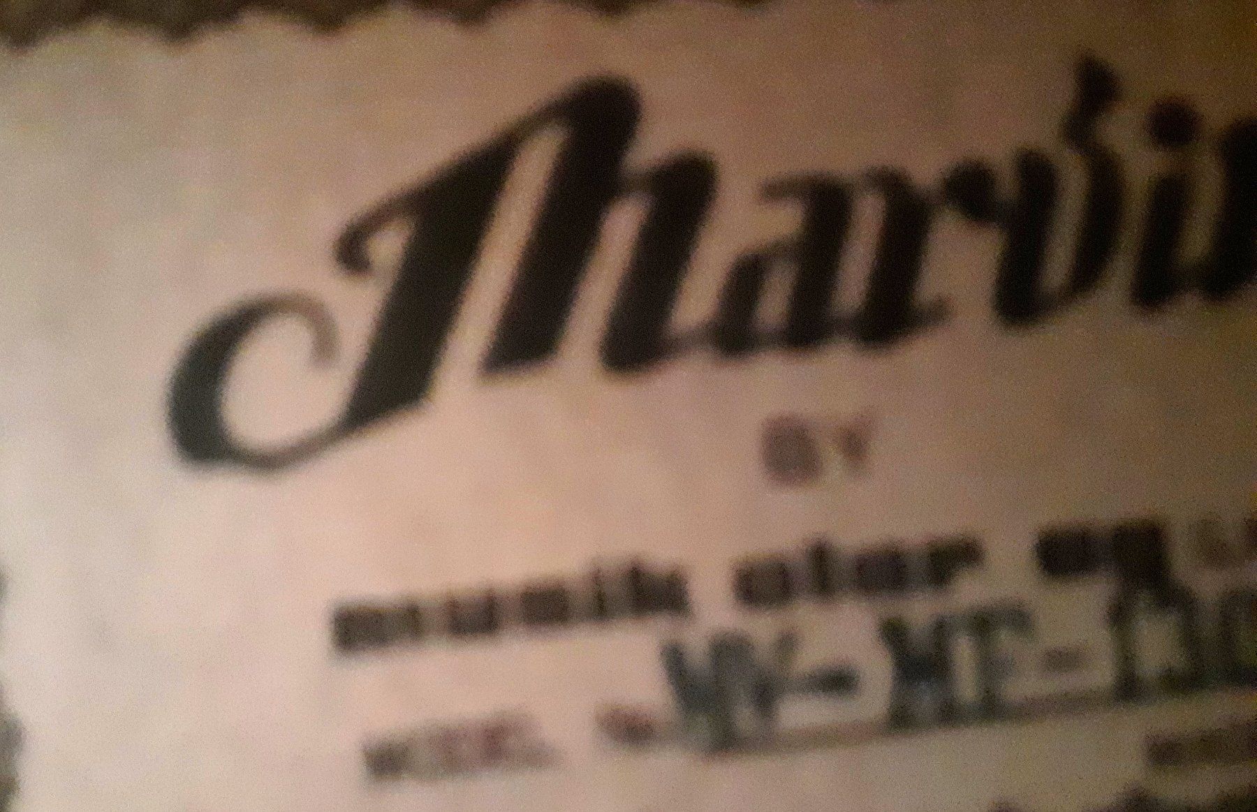 Strumenti musicali: Mandolin MARVIN BELLO   + Fodero – Usato da Locarno venduto da Antonio41 8