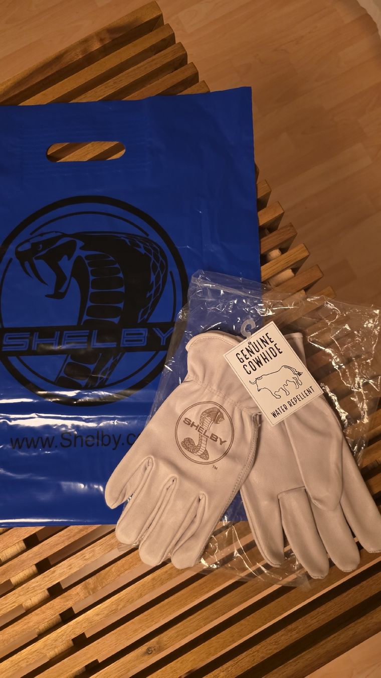 Autres accessoires hommes: Shelby Handschuhe Rindsleder – Neuf avec emballage d'origine à Wildhaus par jimster