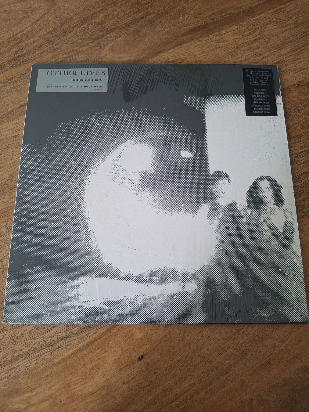 Dischi in vinile: Other lives - tamer animals - LP  – Usato da LAUSANNE venduto da DESH3