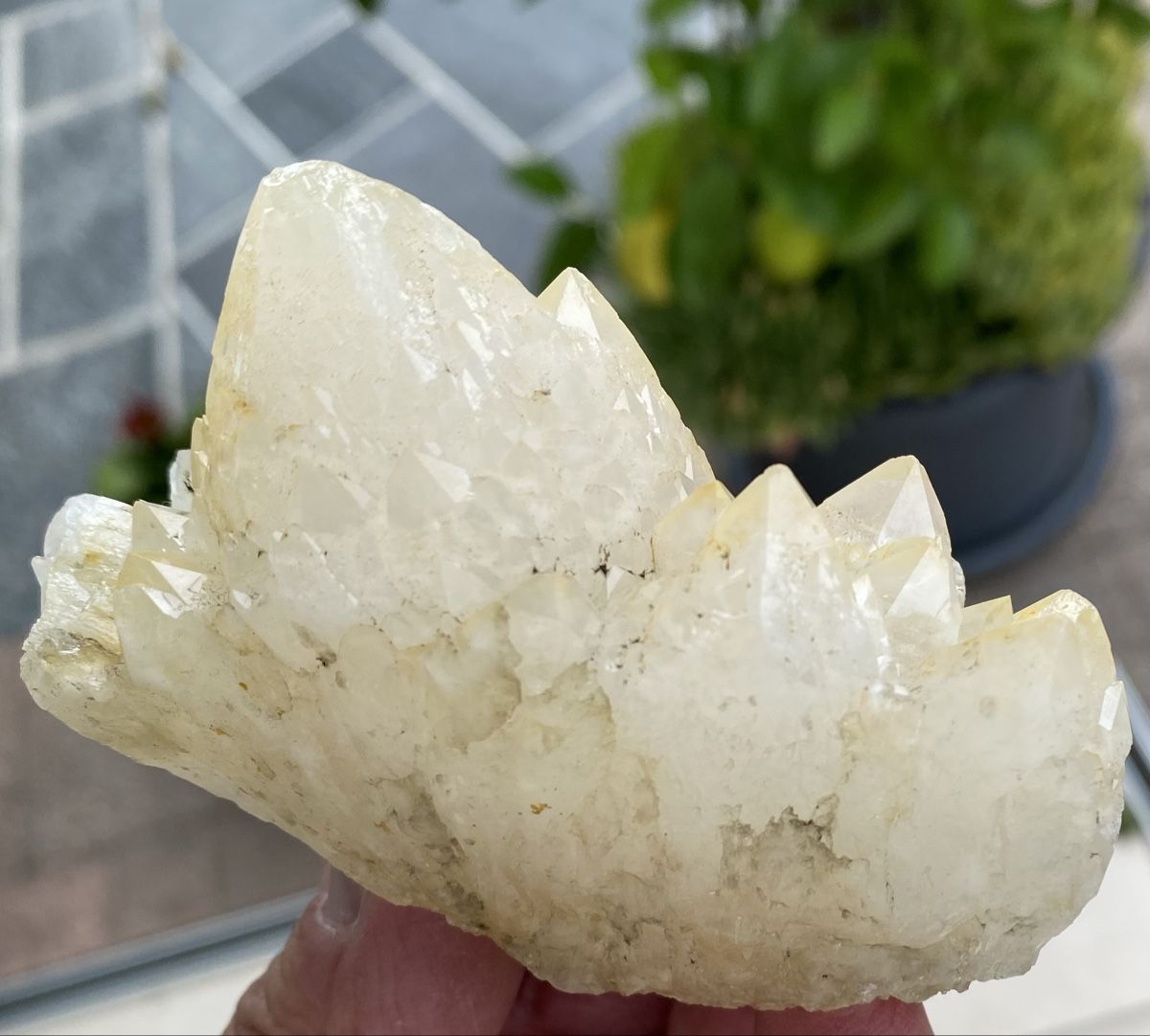 Mineralien & Heilsteine: Schöner Kaktusquarz – Gebraucht aus Selzach von 321compac 9