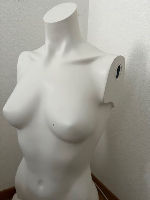 Sculture & Statue: Büste auf Ständer – Nuovo (secondo la descrizione) da Walenstadt venduto da ricamul 6