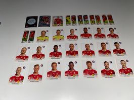 Panini EM 2016. Komplette Mannschaft Schweiz. Weisser Rahmen