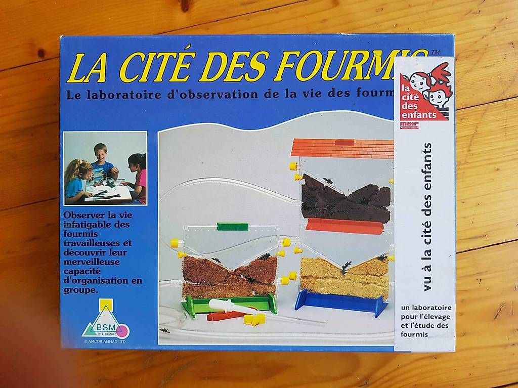 Baukästen: La Cité des fourmis – Gebraucht aus Ste-Croix von gfamily