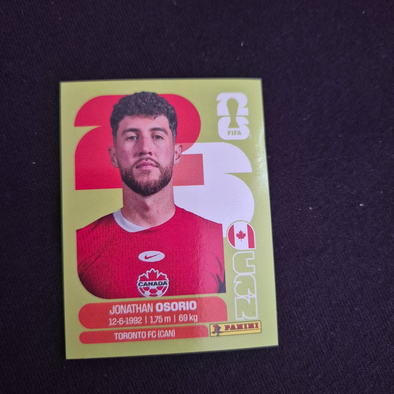 Panini Carte collezionabili: CAN 12 Panini FIFA WM 2026 – Nuovo (secondo la descrizione) da Riehen venduto da tmw_c29m