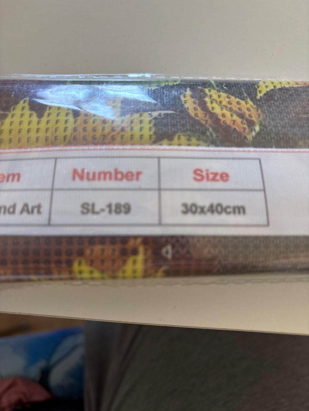Kits de loisir créatif: Diamond Paiting Blumen 30x40 – Neuf (Voir description) à Amriswil par SCHLOSSGEISTLI 1