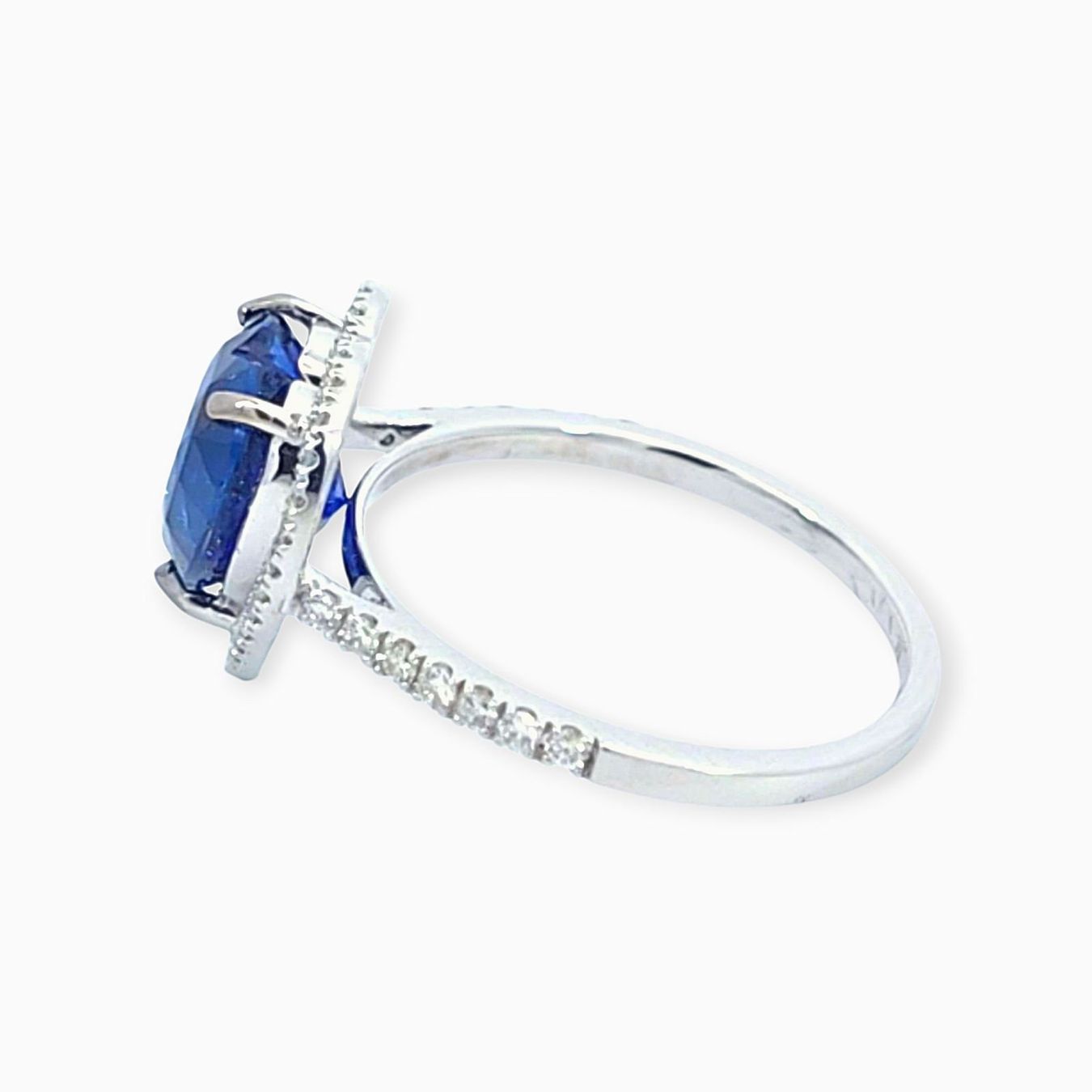 Anelli: Saphir-Ring 14k Weissgold 3,467ct – Nuovo e nell'imballaggio originale da Illnau venduto da Juwelier_Mahler_GmbH 2