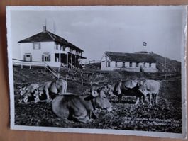 Hundwil - Gasthaus Hundwilwerhöhe - 1962