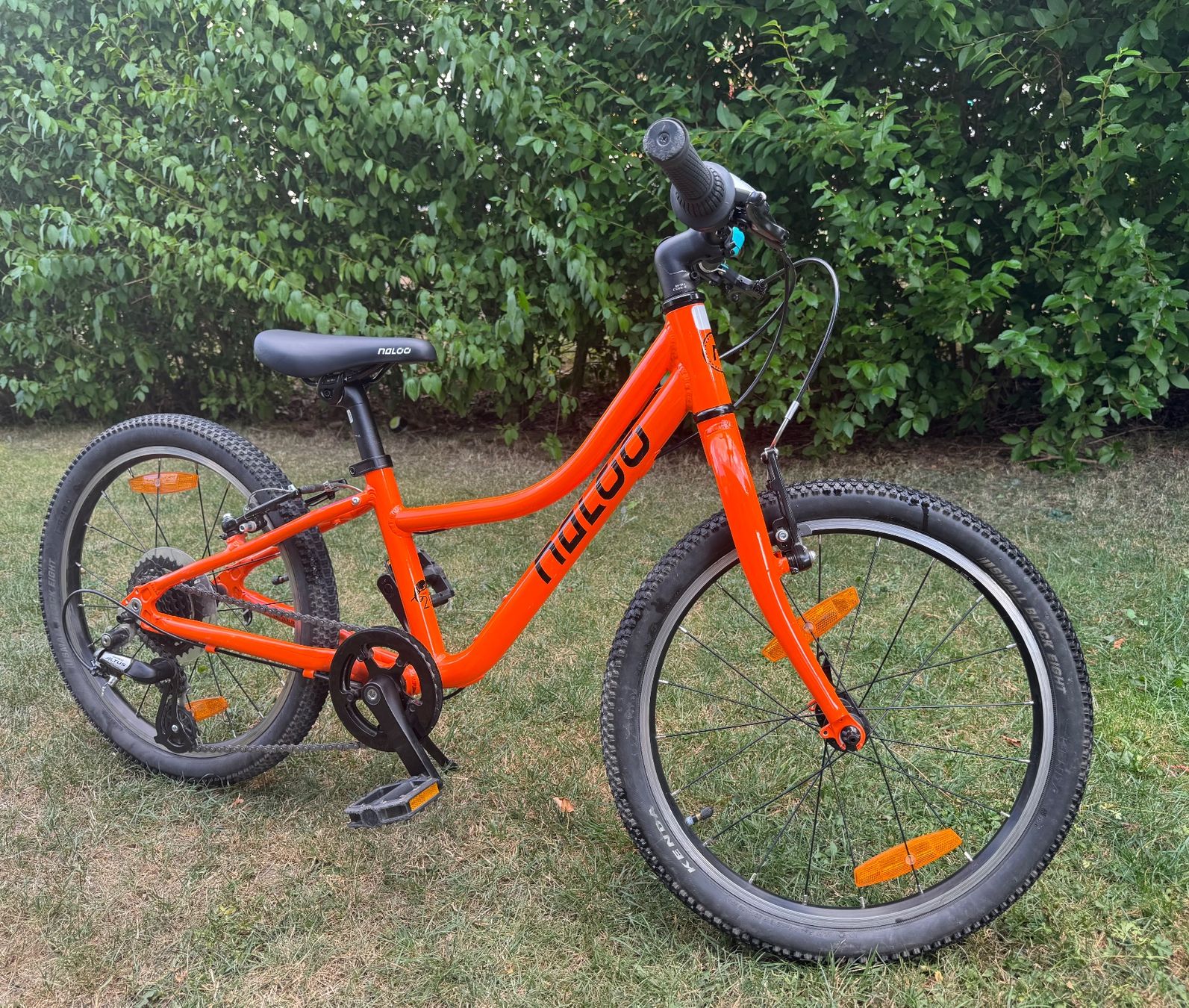Naloo Vélos: Kindervelo Naloo Chameleon – D'occasion à Oetwil am See par thho 1